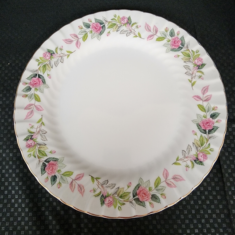 Dinner plates 10 in